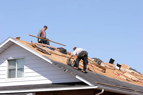 Best Roof Replacement  in Henderson, TX